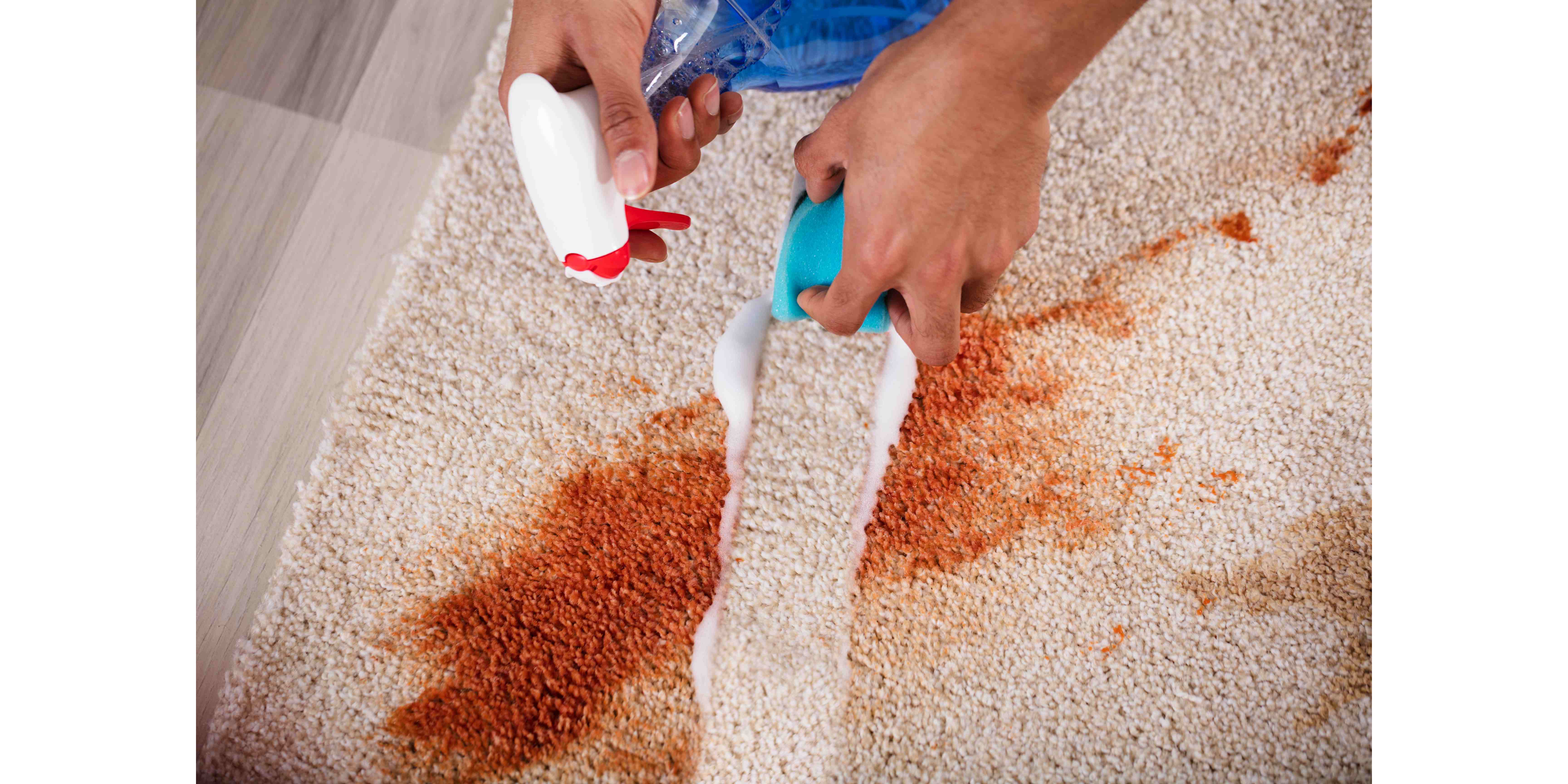 janitor cleaning on stain on carpet