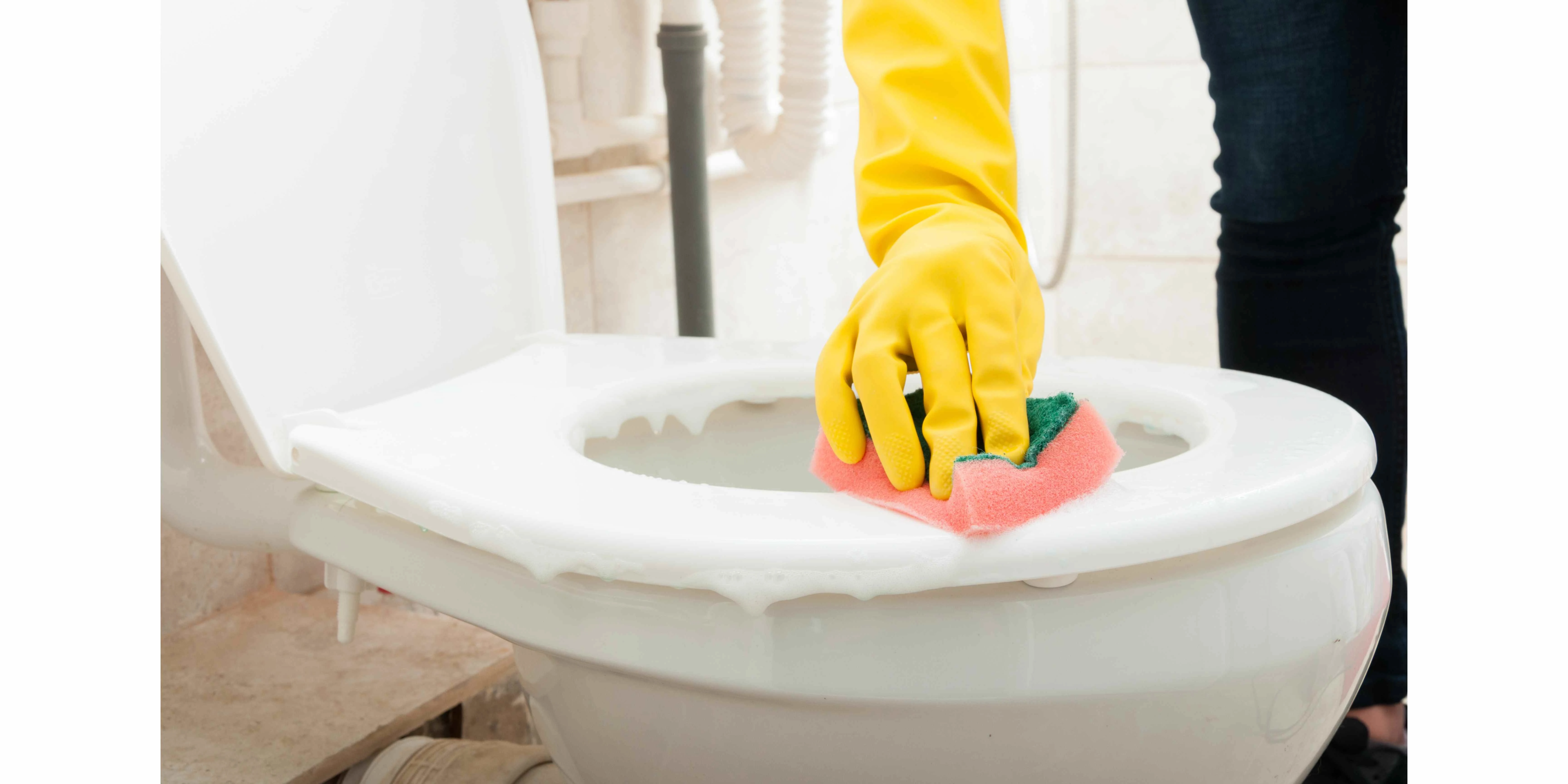 woman cleans the bathroom toilet