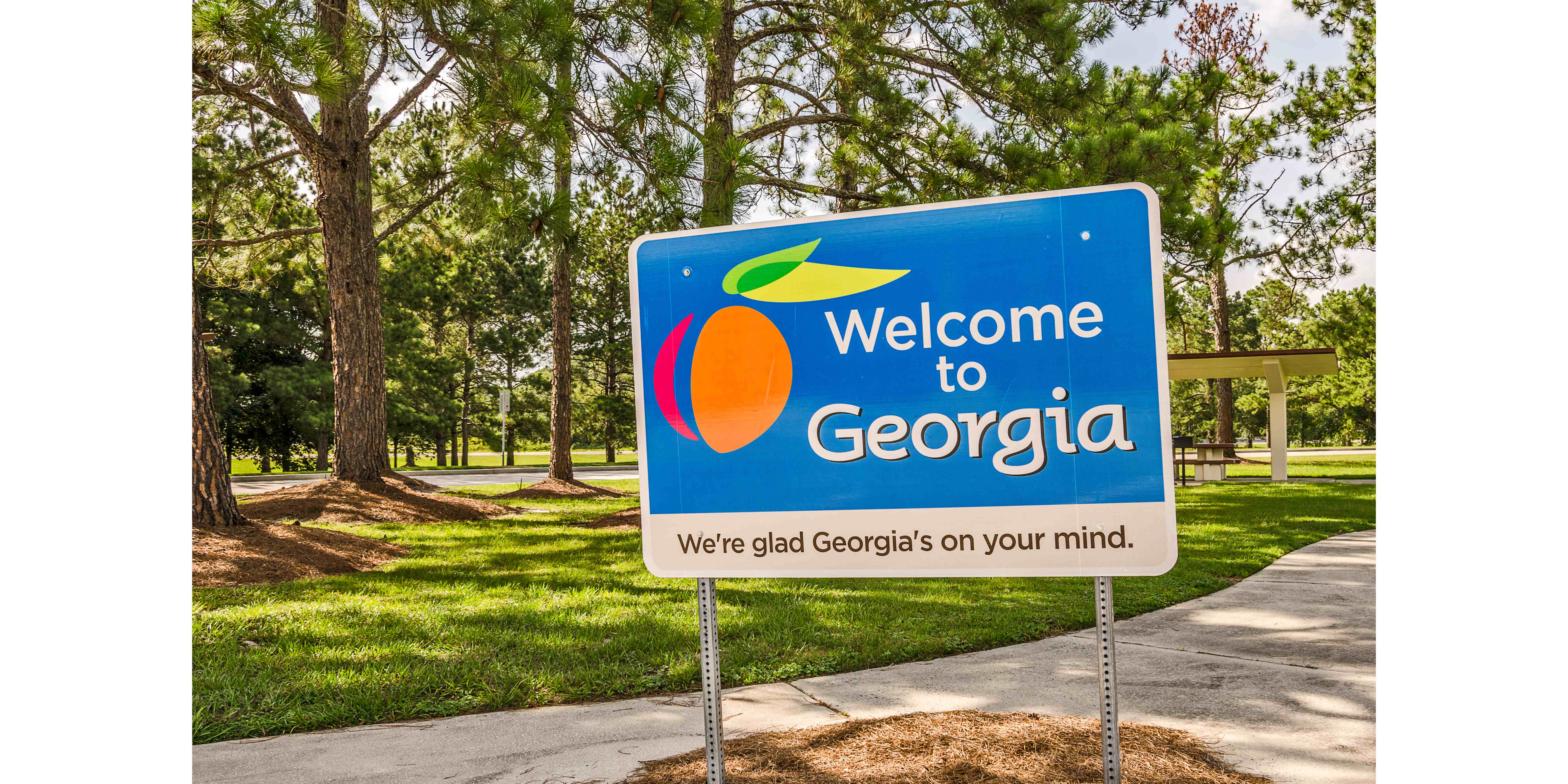 welcome to georgia sign