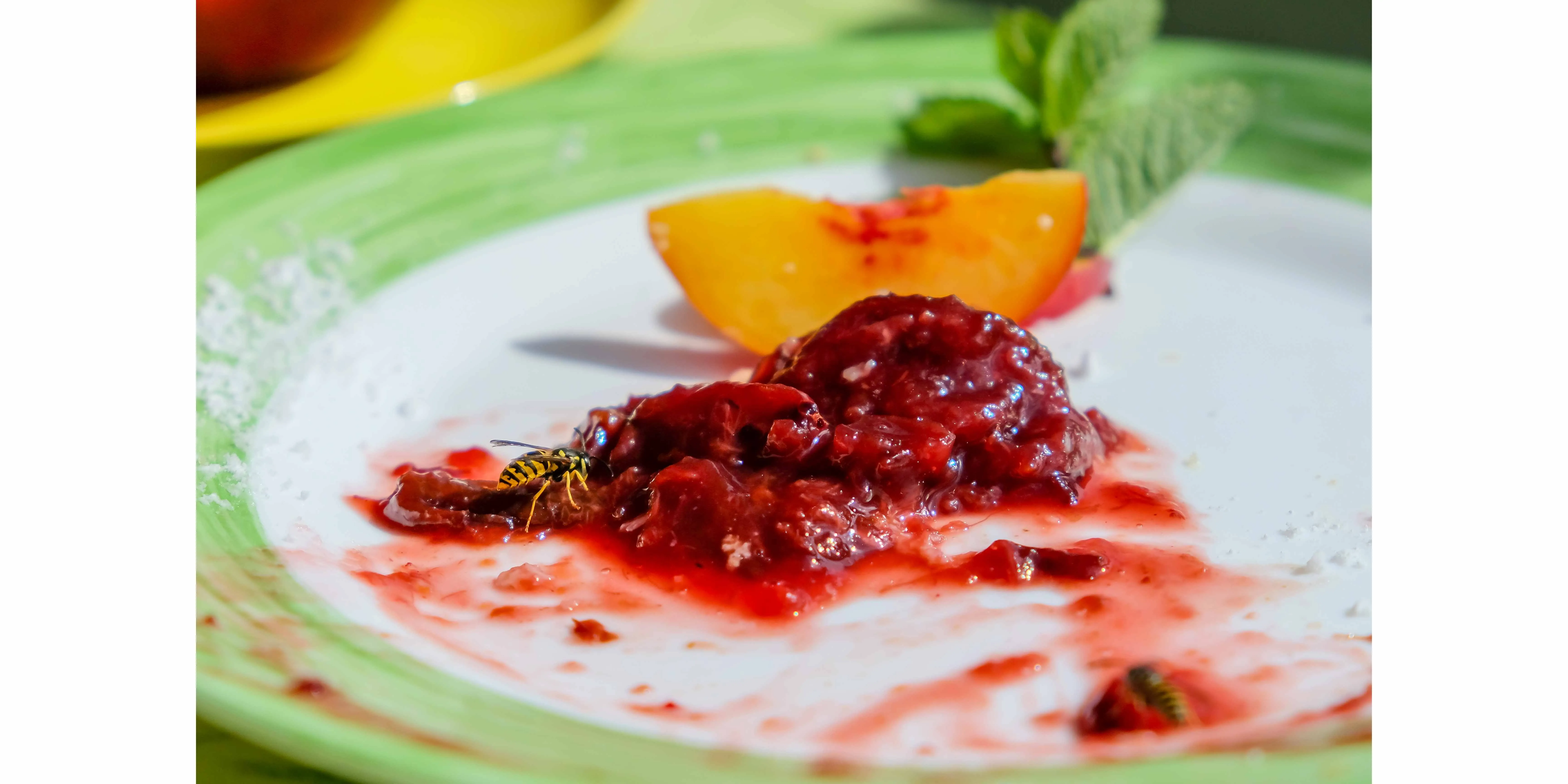 picture of a plate of food with fruit flies