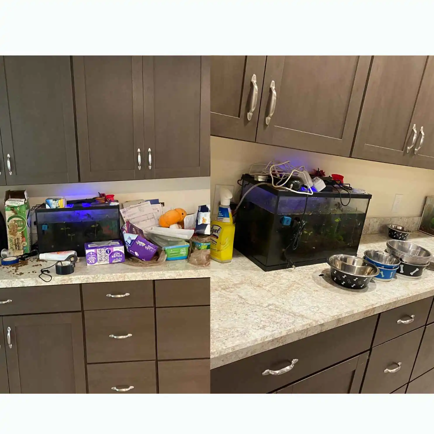 Cleaning Services in Houston, TX: Reliable Residential and Commercial Cleaning