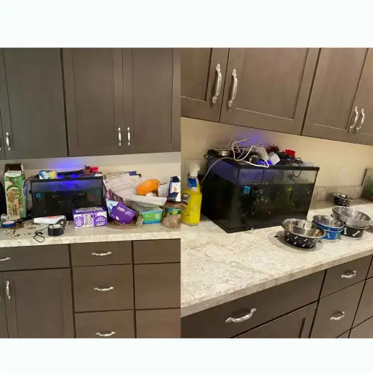 Professional house cleaning for kitchen in a Denver Colorado home