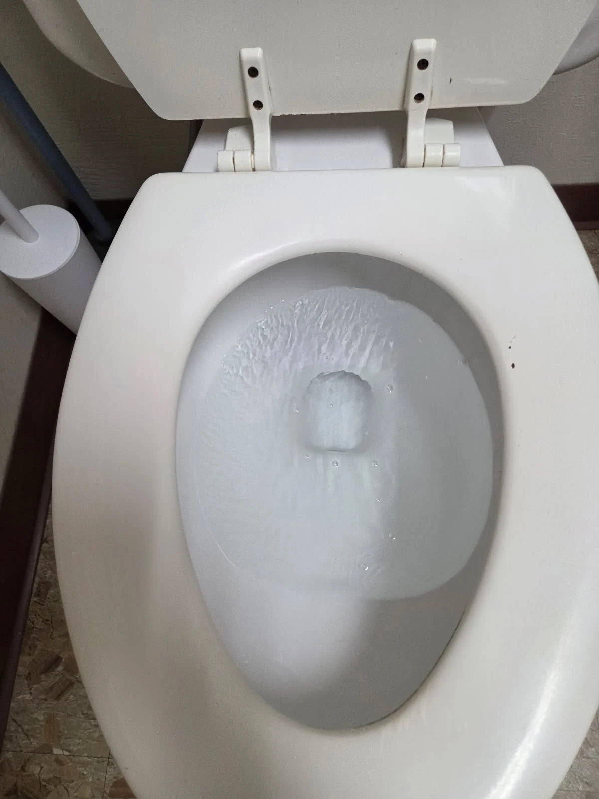 Clean toilet seat improves hygiene of a home