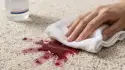 Cleaning vomit stain from carpet using a clean cloth and carpet-safe cleaner