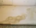 Applying dish soap on grease stains before washing a shirt