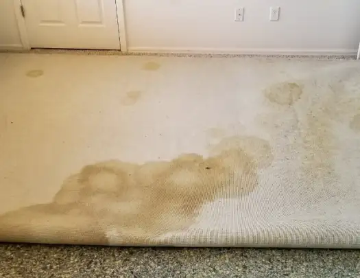 Professional cleaner providing cleaning near me in a residential home